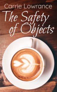 TheSafetyOfObjects KINDLE