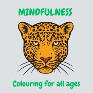 UkCOVERMINDFULNESSJPEG