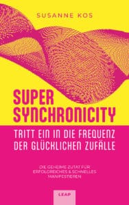SS EBook Cover ppi
