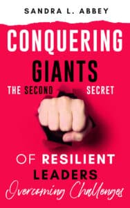 ebook cover copy